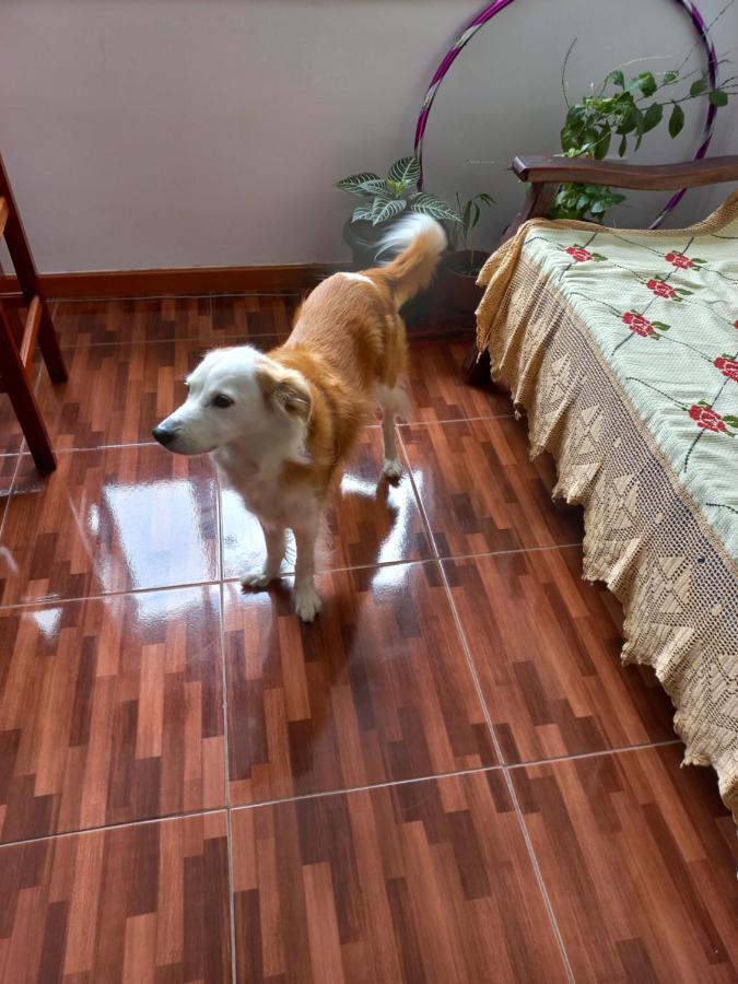Quarto individual na Ary Parreiras Niterói Esterno foto